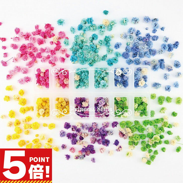 【P5倍!お買い物マラソンCPあり】 かすみ草 咲いた花 ドライフラワー レジン パーツ 封入 花 ハンドメイド用 12マスケース入り 花頭 6色/セット 【 花材 ヘッド カスミソウ かすみそう 小分け 素材 ハーバリウム レジン材料 レジン素材 】