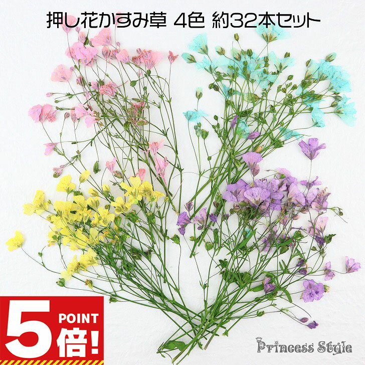 【スーパーSALE 10%オフ P5倍!】 かすみ草 押し花 ネイル レジン 4色セット 【 カスミソウ かすみ かすみそう 小分け ネイル封入 レジン封入 封入素材 花素材 封入 アクセサリー パーツ 花 花材 封入パーツ レジンパーツ レジン材料 レジン素材 】のサムネイル