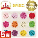 【P5倍!20時〜 お買い物マラソンCPあり】 ドライフラワー 上質 押し花 素材 パーツ こでまり 12色 120枚 セット 【 ネイル レジン 材料 花材 ...