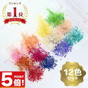 【P5倍!20時〜 お買い物マラソンCPあり】 かすみ草 ドライフラワー ミニ 12色 セット 【 ハーバリウムボールペン レジン封入 封入素材 花素材 封入 ...