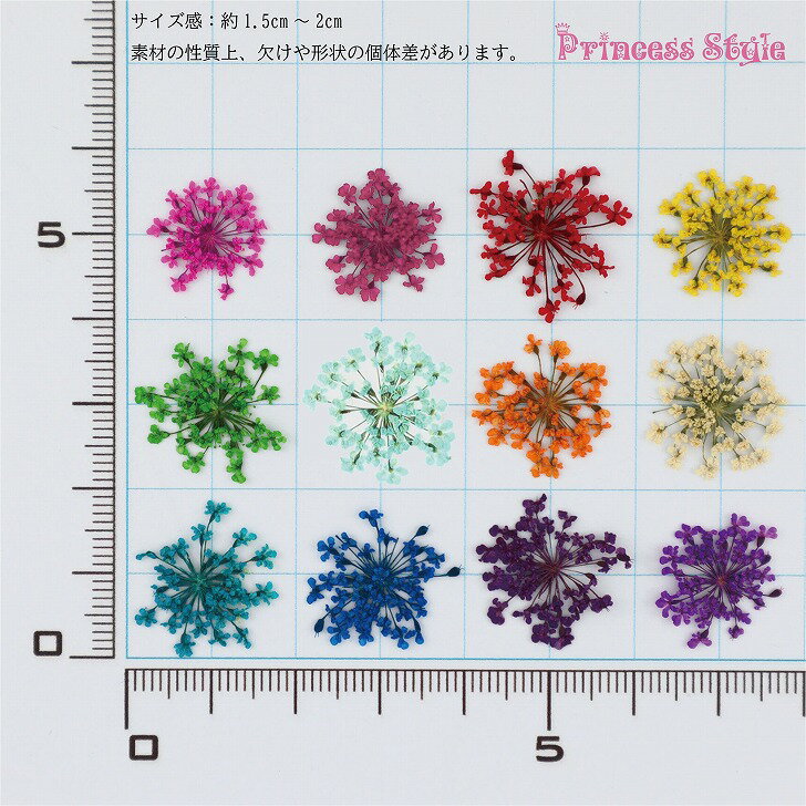 ドライフラワーレースフラワー押し花60枚レジンアートやネイルに12色times;各5枚ケース入