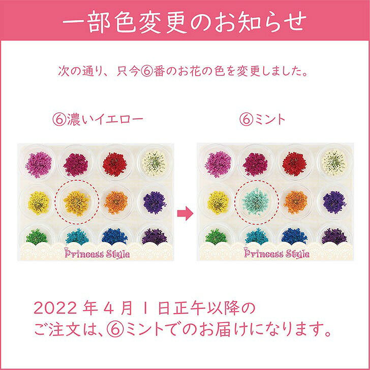 ドライフラワーレースフラワー押し花60枚レジンアートやネイルに12色times;各5枚ケース入