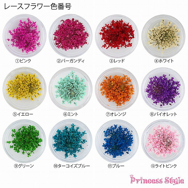 ドライフラワー 押し花 素材 パーツ レースフラワー 単色 5枚 ケース入り 【 レジン 材料 花材 デコ レジン封入 ネイル 封入素材 花素材 封入 レジンクラフト アクセサリー 花 小花 封入パーツ レジンパーツ 素材 ハンドメイド 】