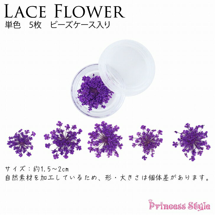 ドライフラワー 押し花 素材 パーツ レースフラワー 単色 5枚 ケース入り 【 レジン 材料 花材 デコ レジン封入 ネイル 封入素材 花素材 封入 レジンクラフト アクセサリー 花 小花 封入パーツ レジンパーツ 素材 ハンドメイド 】