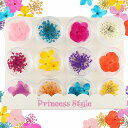 押し花 あじさい&レース 12色 各3枚 36枚セット 【 ドライフラワー 花 小花 花素材 UVレジン レジンクラフト レジン レジン封入 封入 素材 材料 アクセサリー パーツ 封入パーツ レジンパーツ レジン材料 レジン素材 】