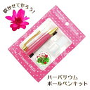 ハーバリウムボールペン 手作り ペン キット 咲かせて作ろう ミネラルオイル 予備の替え芯付き【 ハーバリウムペン 工作 キット セット 手作り ハンドメイド ...