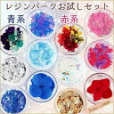 レジンパーツ お試しセット 押し花 ドライフラワー シェル ホイル パール 【 UVレジン レジンクラフト レジン レジン封入 封入 素材 材料 アクセサリー パーツ 封入パーツ レジンパーツ レジン材料 レジン素材 クラフト 手作り 】