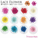 ドライフラワー 押し花 素材 パーツ レースフラワー 単色 5枚 ケース入り 【 レジン 材料 花材 デコ レジン封入 ネイル 封入素材 花素材 封入 レジンク...