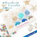 マリン パーツ ミニヒトデ入り レジン 材料 12種類セット 【 UVレジン レジンクラフト レジン レジン封入 封入 素材 材料 夏 海 アクセサリー パーツ 封入パーツ レジンパーツ レジン材料 レジン素材 ハンドメイド クラフト 】