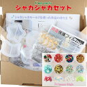シャカシャカモールド スターターセット クリスマス パーツセット特価 【 シェイカーモールド 透明フィルム ナスカン 丸カン ヒートン ボールチェーン ゴールド...