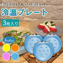 【ウィンターセール20%OFF!!】【 選べる 4色 】 日本製 冷温プレート 3枚セット 保冷剤 お皿型 冷温 お刺身 サラダ 家飲み ガーデンパーティー ア...