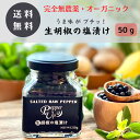 PepperUp 生胡椒の塩漬け 50g カンボジア産 カンポットペッパー オーガニック こしょう 生胡椒 ブラックペッパー 粒 生こしょう ペッパーアップ塩漬け生胡椒 塩漬け ペッパーアップ ペッパー raw pepper fresh salted up