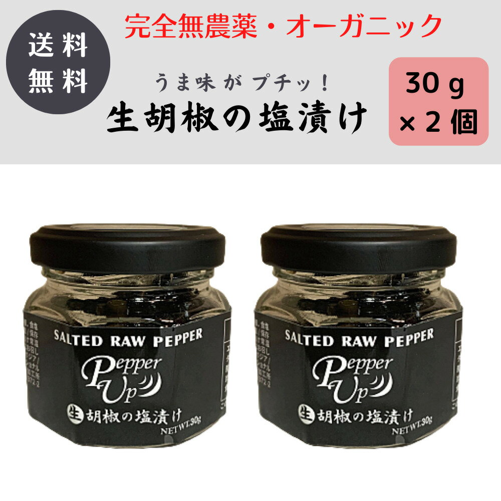 PepperUp 生胡椒の塩漬け 60g (30g×2) カンボジア産 カンポットペッパー オーガニック こしょう ブラックペッパー 粒 生こしょう 生胡椒 塩漬け ペッパーアップ カンポット ペッパー raw pepper fresh salted upのサムネイル