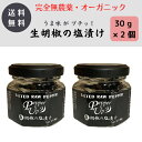 【公式】S&B ブラックペッパー ホール 100g 袋入り セレクトスパイス 業務用 エスビー食品 公式 スパイス ハーブ コショー こしょう 黒胡椒 黒コショー 黒コショウ sb SB 粒黒胡椒 SB食品