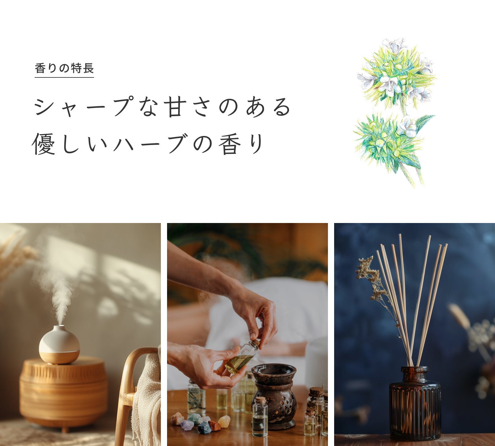 精油と健康茶 PROST.LifeのProst Luxury Oil スパニッシュマジョラム 10ml ピュア エッセンシャルオイル アロマオイル 精油 天然成分100％ 合成香料不使用 癒し アロマバス 芳香浴 リラックスタイム リフレッシュ アロマバスエッセンス ピュアエッセンシャルオイル｜アングル2