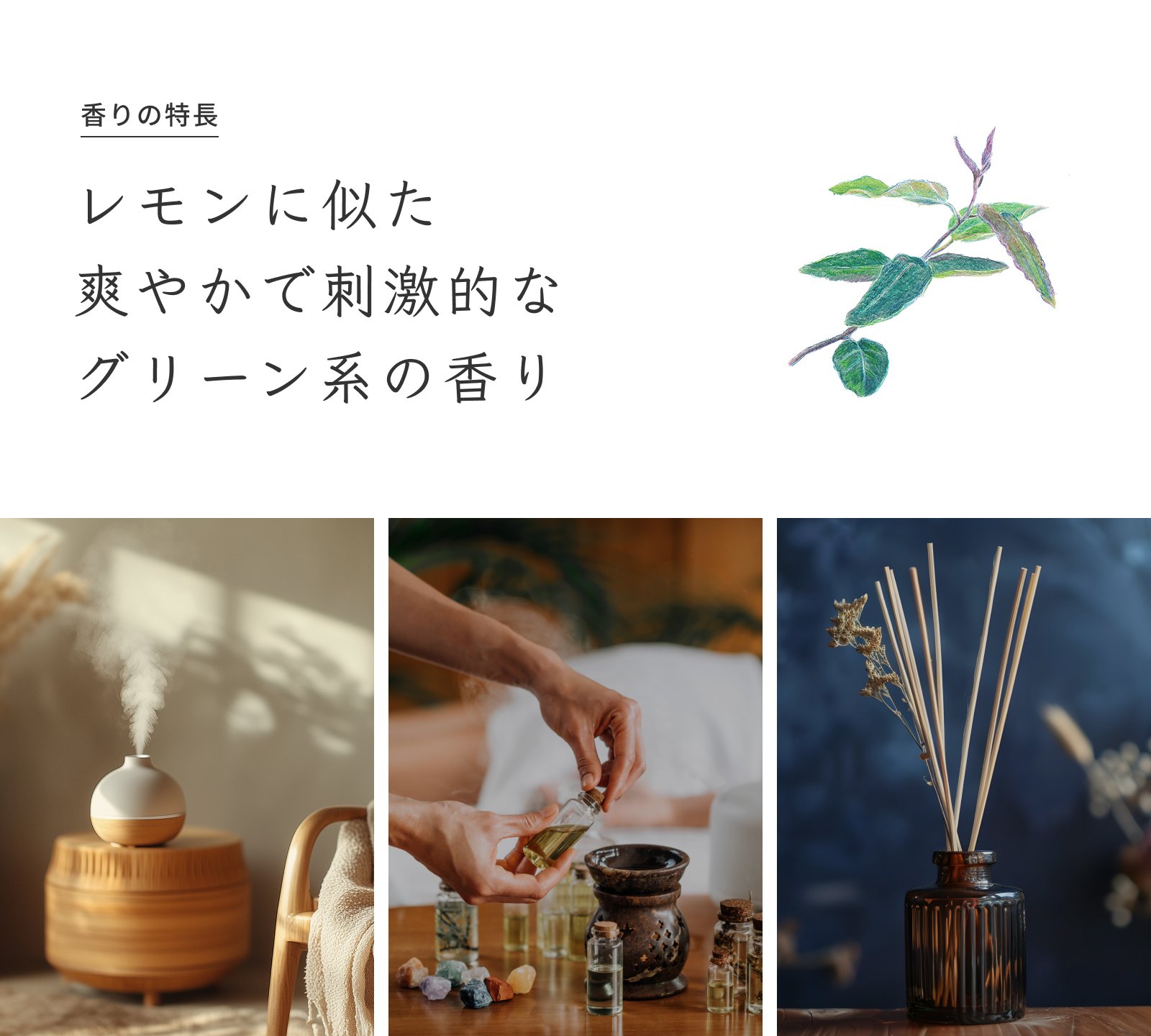 Prost Luxury Oil ユーカリ・レモン 10ml ピュア エッセンシャルオイル アロマオイル 精油 天然成分100％ 合成香料不使用 癒し アロマバス 芳香浴 リラックスタイム リフレッシュ アロマバスエッセンス ピュアエッセンシャルオイル 2