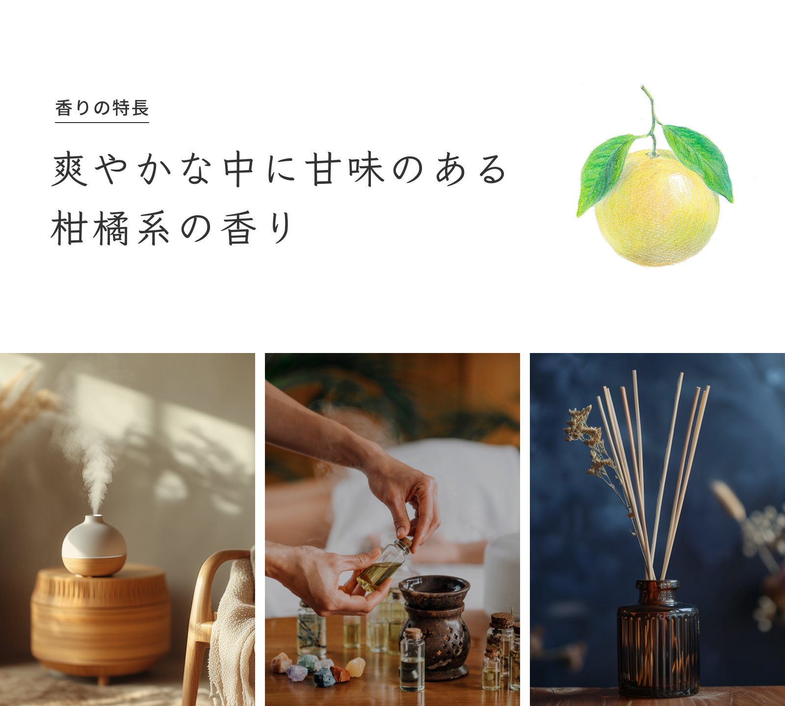 オーガニック Prost Luxury Oil グレープフルーツ・ピンク 有機 5ml エッセンシャルオイル アロマオイル 精油 天然成分100％ 合成香料不使用 癒し アロマバス 芳香浴 リラックスタイム リフレッシュ アロマバスエッセンス 天然 オーガニックエッセンシャルオイル prost-life-10000334 精油と健康茶 PROST.Life サンプル画像2