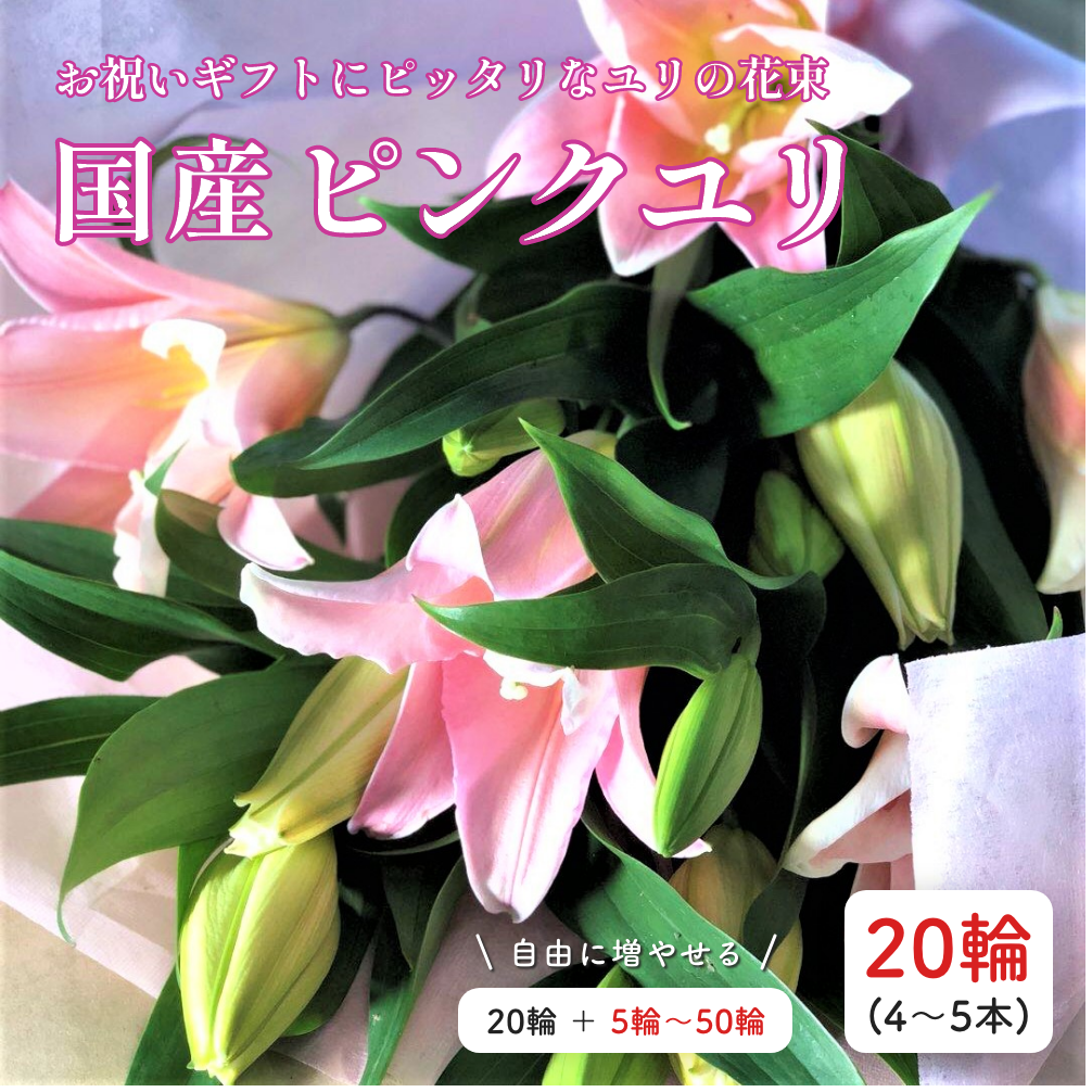 【あす楽】市場直送 ゆり20輪 最高級ピンクユリ 輪数セレクト 生花 誕生日 還暦 退職 結婚 敬老の日 大輪系 花 ギフト ゆり 白百合 百合 プレゼント お供え 贈り物 PURIZA フラワーギフト専門店