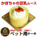 ケーキ（ペット用） ペットケーキ コミフ かぼちゃの豆乳ムース 誕生日ケーキ バースデーケーキ ペット用ケーキ ワンちゃん用 犬用