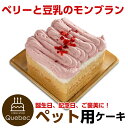 ケーキ（ペット用） ペットケーキ コミフ ベリーと豆乳のモンブラン 誕生日ケーキ バースデーケーキ ペット用ケーキ ワンちゃん用 犬用