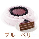 誕生日ケーキ バースデーケーキ ブルーベリーケーキ 7号 21.0cm 約580g 選べるカットサービス 送料無料(※一部地域除く) (工場直送)