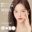 ココビュー COCOVIEW (1箱2枚)( 送料無料 1ヶ月装用 マンスリー マンスリーカラコン カラコン カラーコンタクト 韓国 裸眼風 )