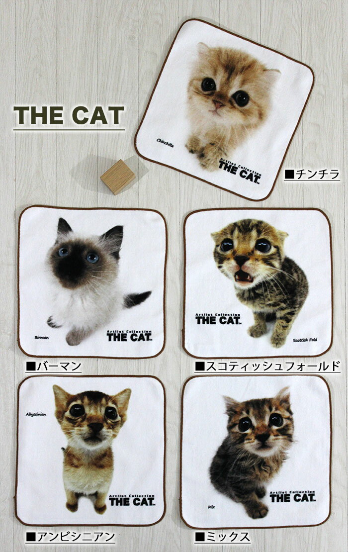【2枚】ウォッシュタオル　ましかくタオル【メール便88円~】動物プリントウォッシュタオル［約25×25cm］アニマル【全15種】犬 猫 うさぎ 入園