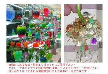 ぷよぷよボール(約12000個入) 水でふくらむ すくい 夏祭り お祭り ぷよぷよすくい イベント 景品 水で膨らむジェリーボール 水で膨らむ不思議なビーズ♪ アクアジェリー アクアジェリービーズ アクアジェリービーズ 培養土として観葉植物の水代わり ぷよぷよボール