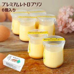 ひなたまこっこ プリン 【家庭画報掲載商品】【ギフト プチギフト 送料無料】自家製 プレミアムレトロ プリン 6本入 スイーツ 【九州熊本産】