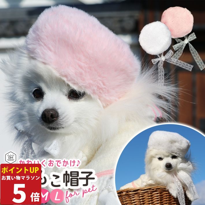 P5261:59ޤǡ ڥå  ˹   ⤳⤳ ˹ 졼ɳդ ԥ ۥ磻 ɴк  ڥåȥ ɥå  SL ...