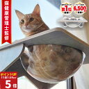 【クーポン配布中27日9:59まで】◆楽天1位◆ 猫 窓 ハンモック ベッド 台 猫ベッド 吸盤 取り付け ねこ スケルトン ベッド 強力吸盤 耐荷重 20kg 半球 透明 壁 取り付けタイプ 39x39cm スケルトンハンモックシリーズ 春 夏 秋 冬 ドーム/吸盤スケルトンハンモック