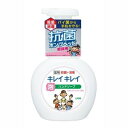 キレイキレイ 薬用泡ハンドソープ シトラスフルーティーの香り 本体 250ml ライオン 弱アルカリ性(4)