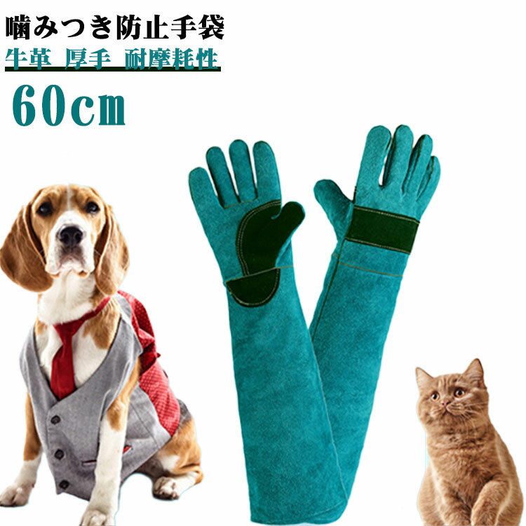 【噛みつき防止手袋】【60cm】【牛革】【厚手】【耐摩耗性】犬や猫、爬虫類などのペットを扱う際に噛みつきや引っかきから手を守るための手袋です。牛革を使用した厚手の作りで、耐摩耗性・耐熱性に優れています。噛まれても牛革がペットの歯に耐えるため、傷を負うことなく安心して作業ができます。また、耐熱性に優れているため、キャンプやBBQなどのアウトドアシーンでも活躍します。 直接肌の当たる部分には、裏地として、肌触りの良い素材を使用しておりますので、イヤな感触も無く、使いやすく出来ている事もポイントです。ゆったりとしたサイズ感で、男女問わずお使いいただけます。 サイズ 60cm サイズについての説明 長さ約60cm 素材 牛革 色 グリーン 備考 ●サイズ詳細等の測り方はスタッフ間で統一、徹底はしておりますが、実寸は商品によって若干の誤差(1cm～3cm )がある場合がございますので、予めご了承ください。 ●製造ロットにより、細部形状の違いや、同色でも色味に多少の誤差が生じます。 ●パッケージは改良のため予告なく仕様を変更する場合があります。 ▼商品の色は、撮影時の光や、お客様のモニターの色具合などにより、実際の商品と異なる場合がございます。あらかじめ、ご了承ください。 ▼生地の特性上、やや匂いが強く感じられるものもございます。数日のご使用や陰干しなどで気になる匂いはほとんど感じられなくなります。 ▼同じ商品でも生産時期により形やサイズ、カラーに多少の誤差が生じる場合もございます。 ▼他店舗でも在庫を共有して販売をしている為、受注後欠品となる場合もございます。予め、ご了承お願い申し上げます。 ▼出荷前に全て検品を行っておりますが、万が一商品に不具合があった場合は、お問い合わせフォームまたはメールよりご連絡頂けます様お願い申し上げます。速やかに対応致しますのでご安心ください。