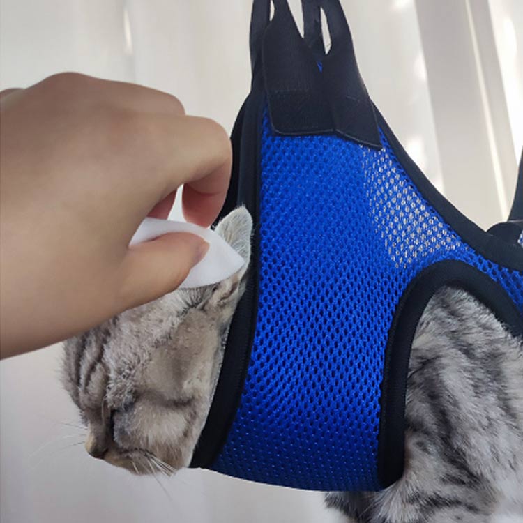 ǭ �ϥ��å� ���� �����ס� �ȥ�ߥ� ���롼�ߥ� ���ڤ� �ϡ��ͥ� ���᤭ �ͥ� �ߤ�夲 ���� ��� ���ݽ� �ڥå����� ���� ����Ϥ �ɥ饤�䡼 �� ˽���ɻ� �ϥ��å�