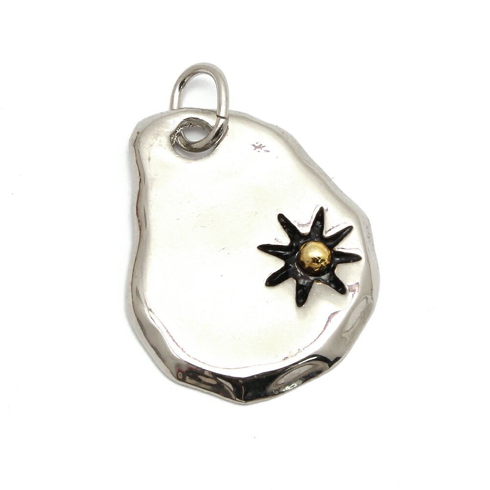 Rakuten - 【メンズアクセサリー】 PTゴールドサンB　ネックレス/チョーカー ヘッド/ペンダントトップ