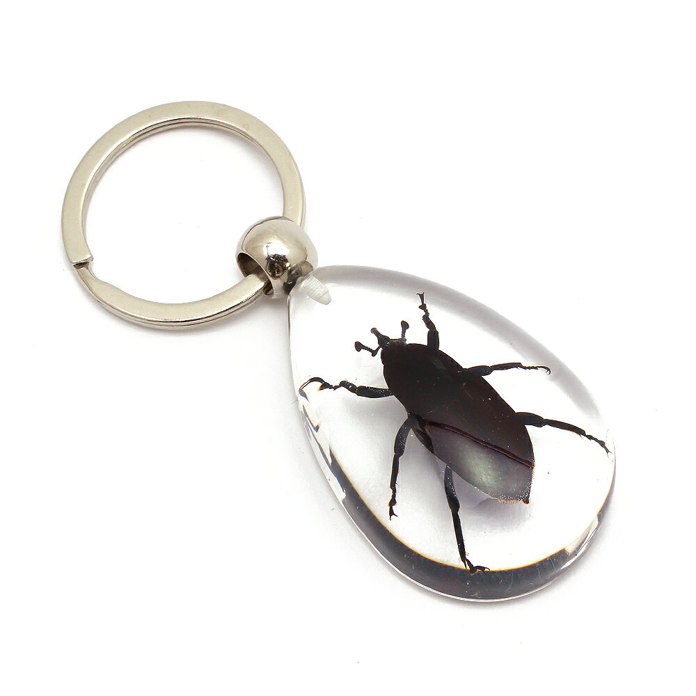 商品説明素材昆虫、樹脂、金属サイズ 全長約8cm 穴サイズ約5.5mm使用方法・注意昆虫のレジンキーホルダーです。 リングを外してペンダントトップとしても使えます。 ※素材の性質上固めてある昆虫の形や大きさが異なります、何卒ご了承下さい。