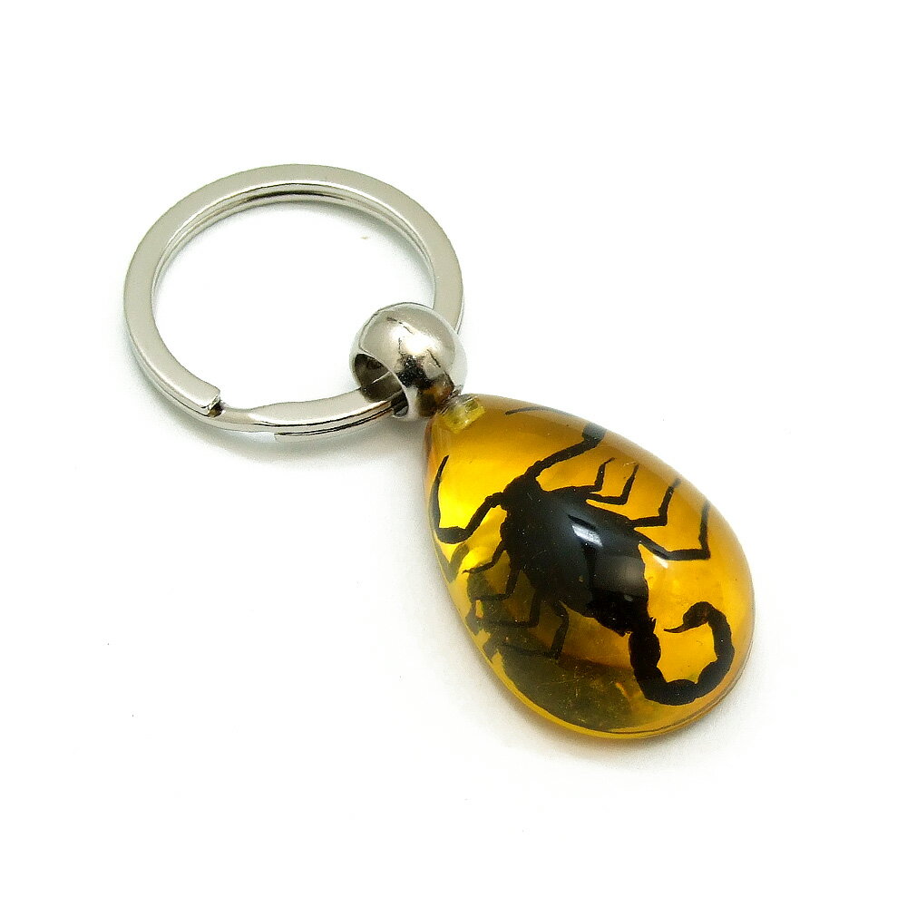 ミニミニInsect Keyring 【サソリ 琥珀色(SSサイズ)】SS10300 キーホルダー/昆虫/アクセサリーパーツ/ペンダントトップにも/ストラップ/海外雑貨/キーリング/キーチャーム/レジン/樹脂