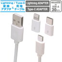 充電 ケーブル microUSB 30cm Lightning Type