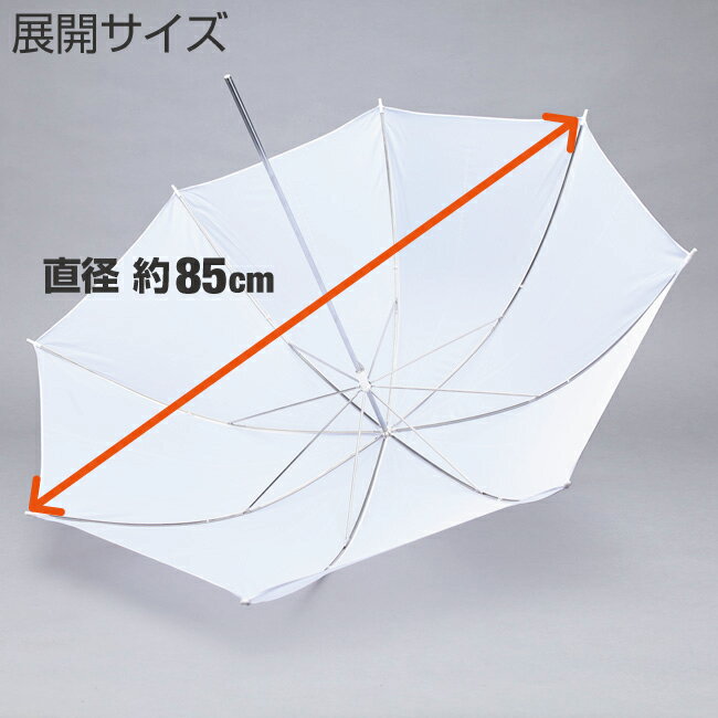 ����֥�� �� ľ����85cm Ʃ�᥿���� �롼����ȥ����� ����֥��ǥ��ե塼���� ��¦/��¦���� ���ȥ��� �������� ������������ ���Ƶ��� �ǥ��ե塼�������ʻ��� �������� ��Υ֥��å����ȥ��� ���� ����