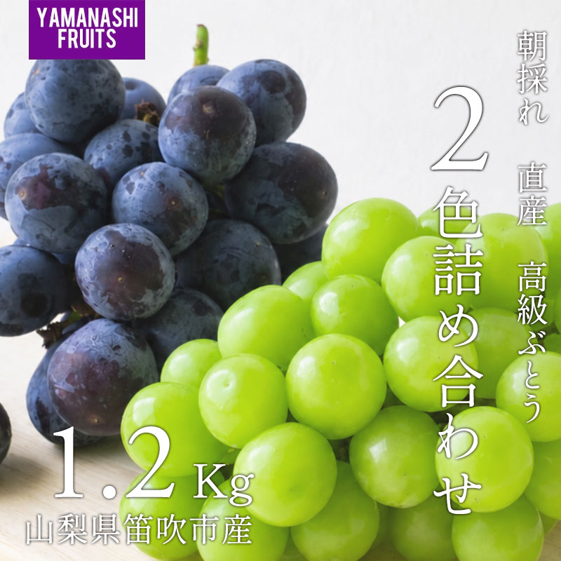 楽天市場】高級ぶどうの通販
