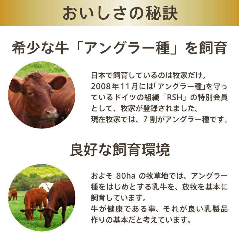 牧家 飲むヨーグルト プレーン 500g 大容量 ギフト北海道直送 お取り寄せ お土産 Bocca のむヨーグルト 乳飲料 ぼっか【レビューでクーポンGET】