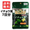 サプリ生活プレミアム「イチョウ葉+」 ※機能性表示食品 7日分　14粒　アンフィニプロジェクト