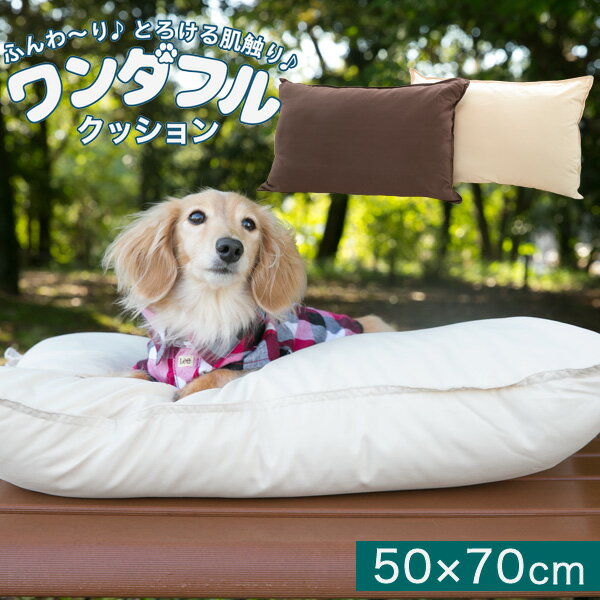 ワンダフルクッション(人・ペット兼用)50×70cm|クッション ペットベッド ベット 犬 用 ペットベット 犬用ベッド 犬用クッション 洗える 丸洗い ペット用クッション ペット おしゃれ ペットグッズ 犬ベッド ペットソファー ドッグベッド 犬のベット 犬のベッド ベッド