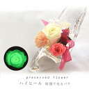 【送料無料】 暗闇で光る プリザーブドフラワー /誕生日/★ハイヒール★ブリザーブド(お祝い 結婚祝 ギフト 引越祝い プリザード フラワー ブリザード)【即日...