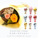 プリザーブドフラワー 花束 ミニ ブーケ プチブーケ カーネーション バラ プレゼント アンティーク おしゃれ かわいい 誕生日 お祝い 結婚 プリザードフラワー ブリザード フラワー お供え 記念日 お見舞い 花 ギフト 入学祝 父の日 長寿 卒業祝い 出産祝い ミニ 花束