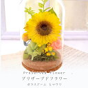 プリザーブドフラワー ヒマワリ ガラスドーム ひまわり 花 ギフト 向日葵 ボトルフラワー ガラス 誕生日 ガラス入り お祝い お見舞 おしゃれ プレゼント 還...
