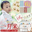 【全商品ポイント10倍 4/24(水)20:00～4/25(金)23:59】株式会社うさぎもち　うさぎ　一切れパック　丸もち　袋330g×10個　【送料無料】旧きむら食品