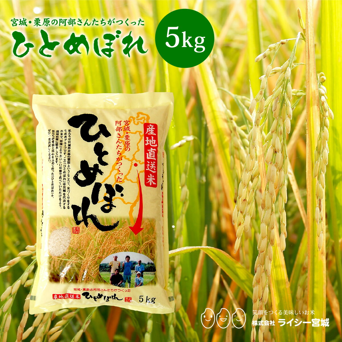 ひとめぼれ 米 5kg 宮城県栗原の阿部さんたちがつくったひとめぼれ 送料無料 宮城県産 令和6年産 《5kg》 白米 お米 5kg 米5kg 米5キロ 国内産米 精米 検査米 ブランド米 産地直送