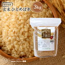 玄米 ひとめぼれ 3kg 岩手県産 送料無料 令和6年産 《3kg》 米 お米 3kg 米3kg 米3キロ ジップ式 チャック付き 玄米 少量 岩手県 農家直送 国内産米 単一原料米 検査米 ブランド米