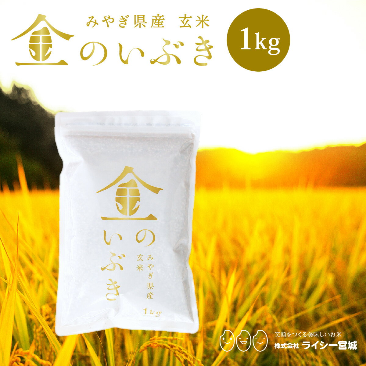 金のいぶき 玄米 1kg 少量 お試し 送料無料 高機能玄米協会認定 宮城県産 令和6年産 高性能玄米 《1kg》 ※クロネコゆうパケットでお届け※ 真空圧縮パック 宮城県水稲奨励品種 宮城県 玄米 国内産米 1kg ブランド米